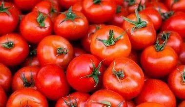 Tomato Price Today: 4 गुना सस्ता हो गया टमाटर, आम जनता को मिली बड़ी राहत, जाने आज का ताजा भाव