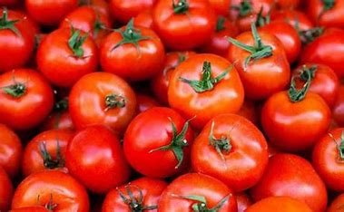 Tomato Price Today: 4 गुना सस्ता हो गया टमाटर, आम जनता को मिली बड़ी राहत, जाने आज का ताजा भाव
